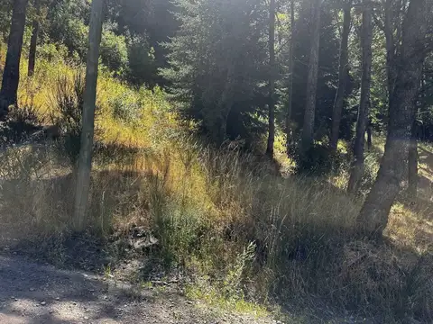 PASEO DE LA LADERA 300 , Piso 0