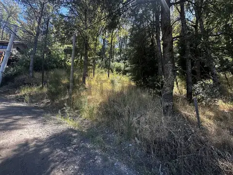 VENTA TERRENO SAN MARTIN DE LOS ANDES. BARRIO ALIHUEN BAJO
