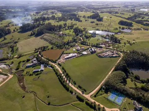 Terreno en Venta en Punta del Este, USD 880.000