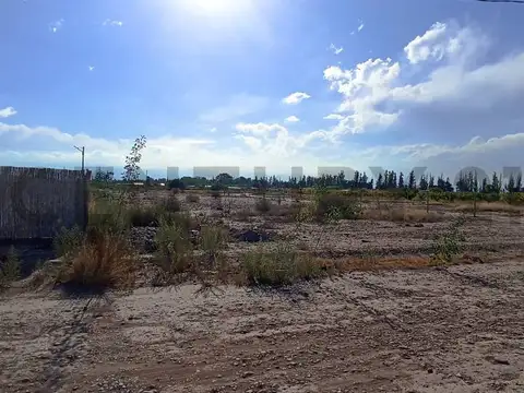 Tropero sosa , Piso 0