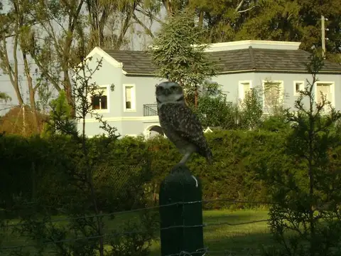 Casa en Venta con 4 cocheras