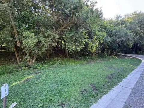 Ruta Provincial E53