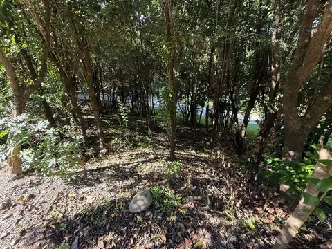 Ruta Provincial E53