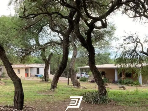 Finca La Pedrera en venta en Cerrillos 200 has