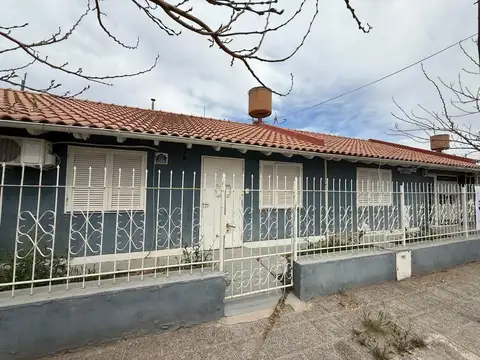 Araucaria 100