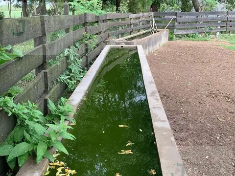 Campo en Napenay, Chaco