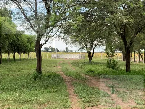 Campo en Napenay, Chaco