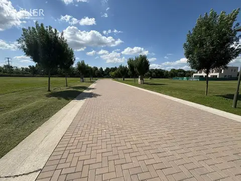Terreno en Venta en Los Cardos, USD 200.000