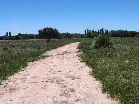 Terreno en venta - 31.833Mts2 - Estancia Benqueria, Monte