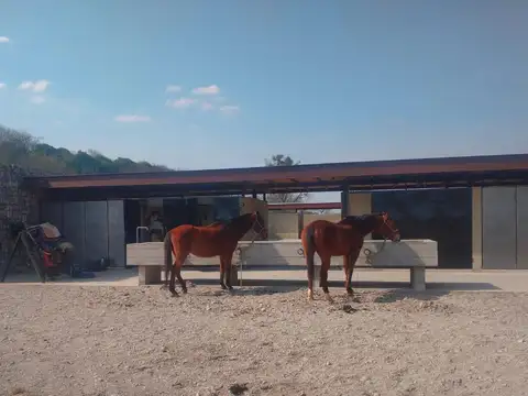 Quebrada De Los Nogales