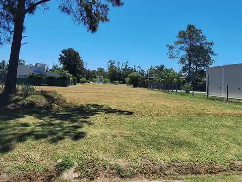 El Ensueño al 100