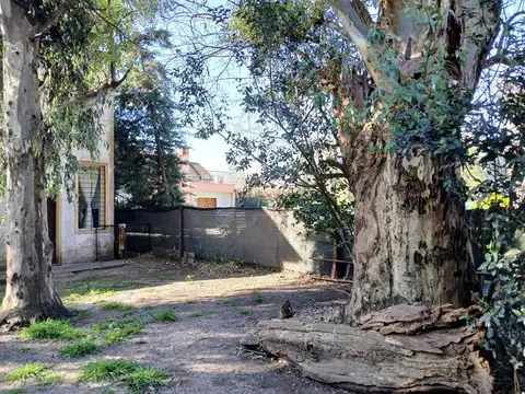 San José al 4200