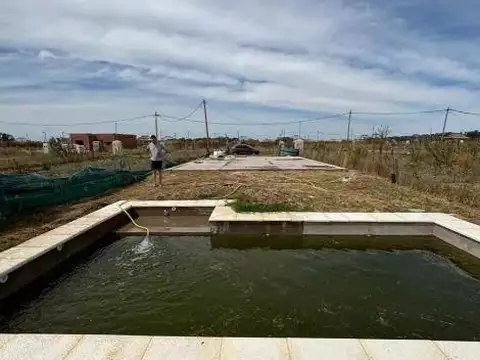 Terreno en Venta 10  mts Frente