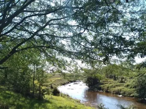 CAMPO MIXTO 36HAS SAN  NICOLAS