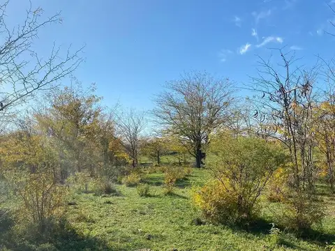 San Nicolas De Los Arroyos