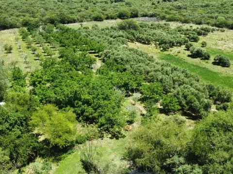 Quinta en Venta en La Poblacion, USD 530.000