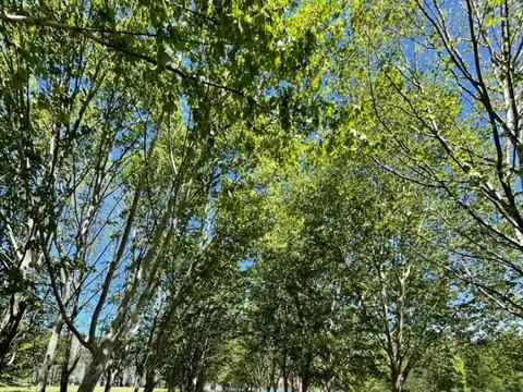 Terreno en Venta 72  mts Frente