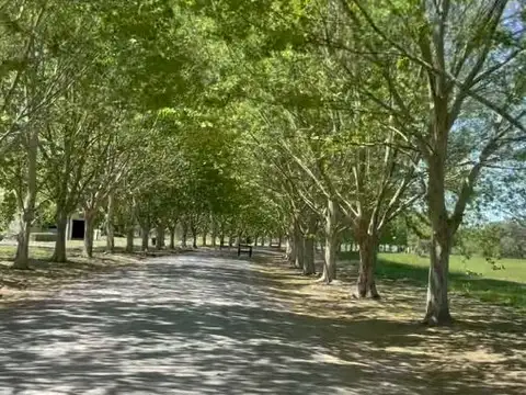 Terreno en Venta 35  mts Fondo