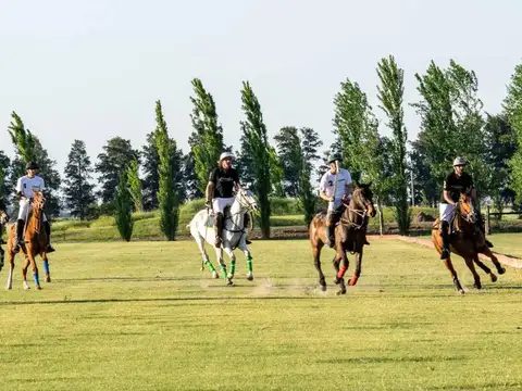 Ruta 34 km 10 Ibarlucea Santa Fe Lote 100