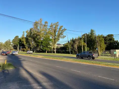 Local en Alquiler 25 años