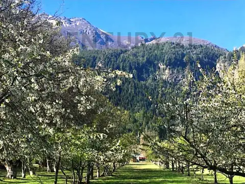 El Hoyo