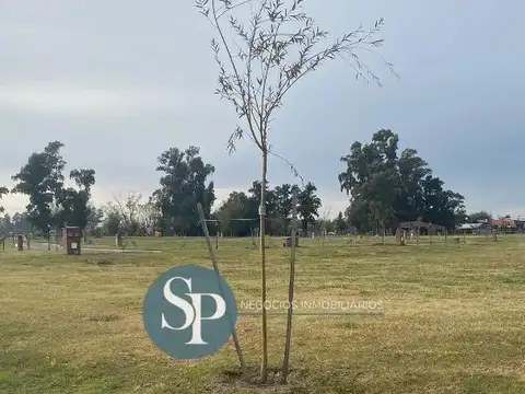 San Pablo chico OPORTUNIDAD