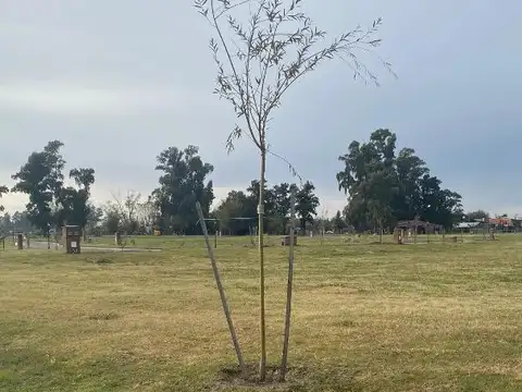 San Pablo chico OPORTUNIDAD