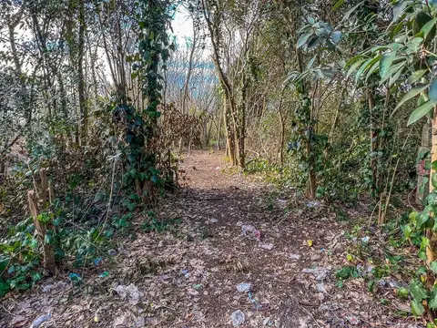 Terreno en Venta en Villa Elvira, USD 190.000