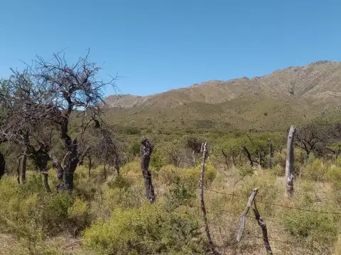 1 ha. sobre la sierra