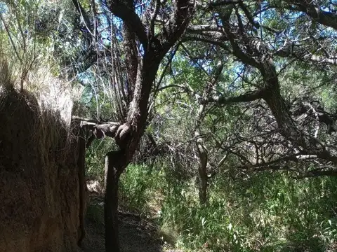 Terreno en Venta en Villa Larca, USD 55.000