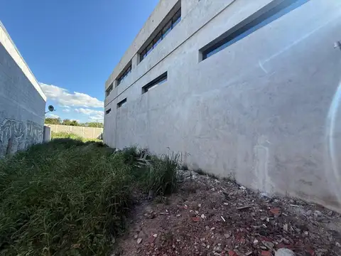 Local en Alquiler A Estrenar