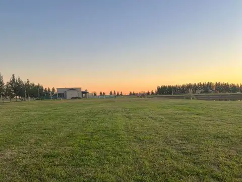 Terreno en Venta de 2334,0 m2