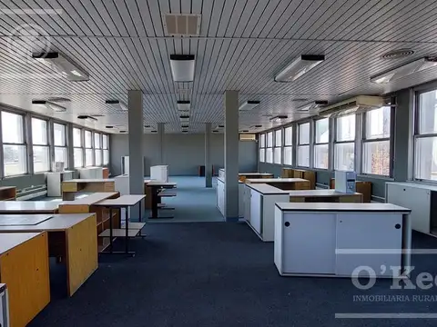 Oficina en Alquiler A Estrenar