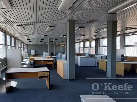 Oficina en Alquiler A Estrenar