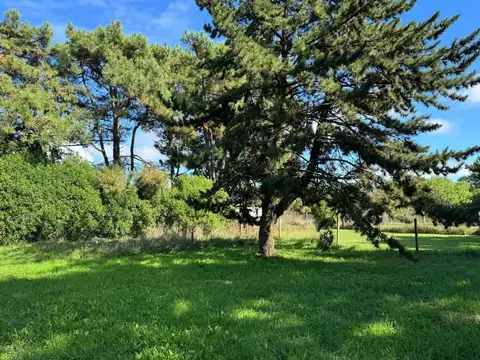 Avenida Bahia Creek S/N