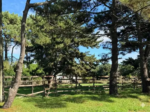 LOTE EN VENTA EN LA CALETA OPORTUNIDAD