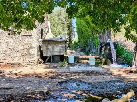 Venta de Finca en Chapanay Zona Este