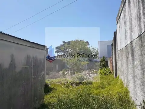 Terreno en Alquiler de 250,0 m2