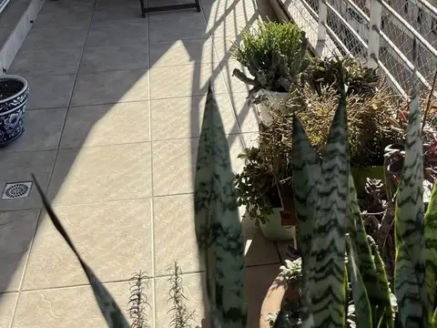 Departamento 3 ambientes con 2 baños