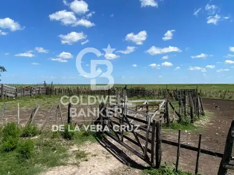 Campo Ganadero en Piamonte