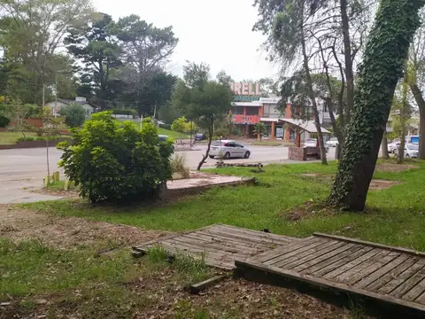 Venta magníficos lotes 1350m2 + Local/vivienda 330m2 cub