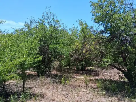 Terreno en Venta en Barrancas, USD 57.000