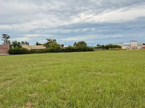 Loteo La Delfina 100