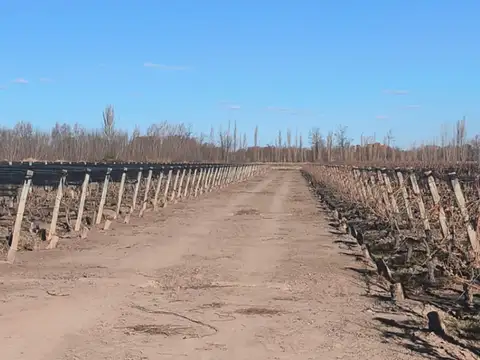 Calle Rosario Bustos de Zapata