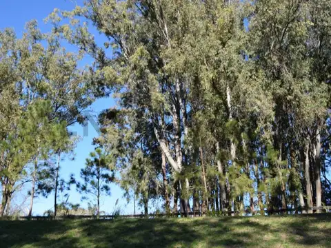 Terreno en Venta en Chacras Del Parana, USD 81.900