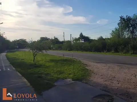 Av. Mandarinos Y La Añera