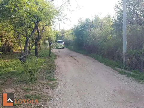 Lote en esquina en Av. Mandarinos 