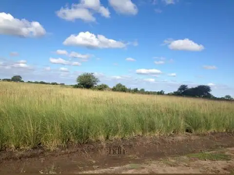 Zona Los Porongos