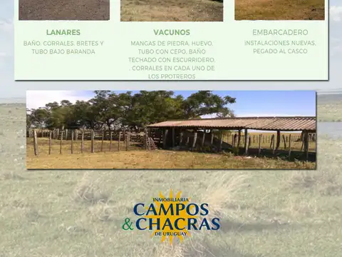 Campo en Venta de 4.566  ha
