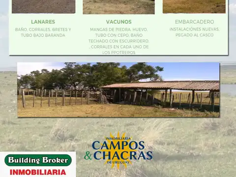 Campo en Venta de 4.566  ha